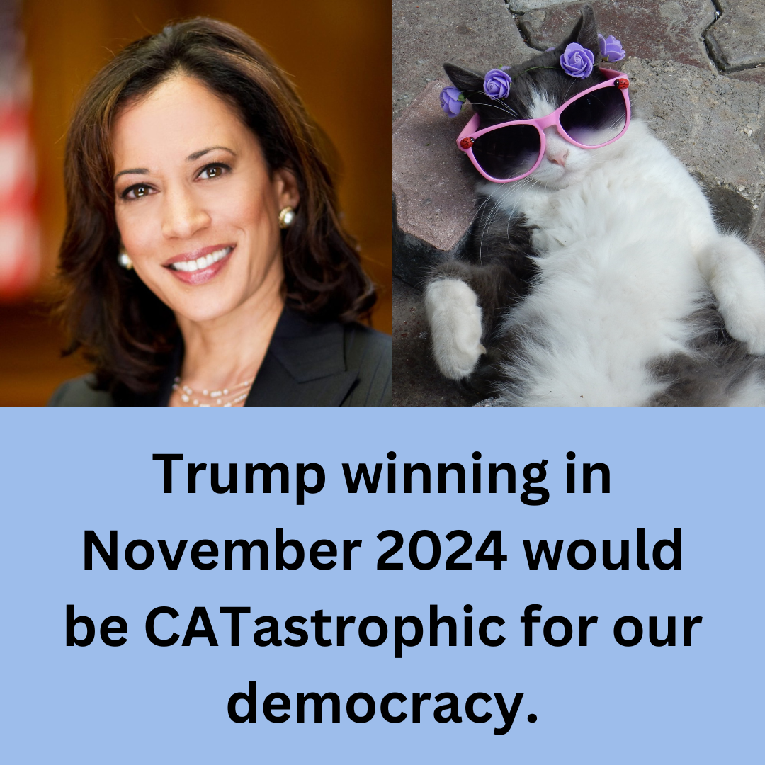 Lets_make_Election_2024_CATastrophic_for_45ers.png